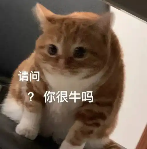  打滚能减肥恐怖片减肥这些奇葩的减肥方法真的有用吗