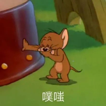  表情包汤姆and杰瑞遵命