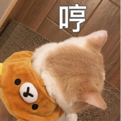  沙雕表情包最近有一点点想谈恋爱