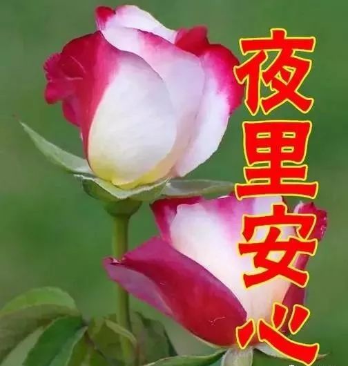  今天是女人节,快打开看看送给你身边的女人,祝她美丽幸福快乐