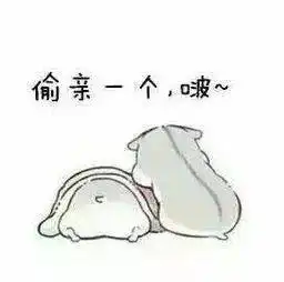  哄女朋友的表情包,兄弟们赶紧收藏保命
