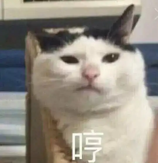  范冰冰复胖就算了,上红毯还被蹭热度的摔跤网红大妈抢镜,你说气不气