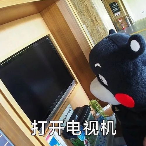 和闺蜜用表情包对暗号闺