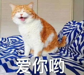  福州人快看最新事业单位大规模招聘总有一个岗位适合你