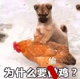  200斤男孩坠湖大喊叫起重机来救我一周沙雕新闻合集
