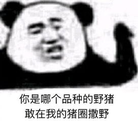 最近超火的已读不回表情包,将图甩给她,怼到再也不敢了