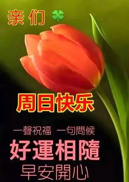  最新周日早上好表情包,珍惜每一分每一秒,就是快乐的