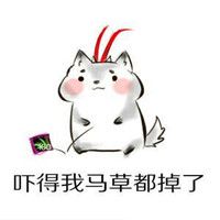 求网址表情包表情包