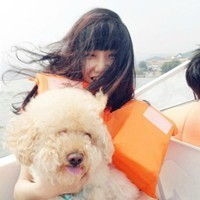 微信头像女生可爱小狗情