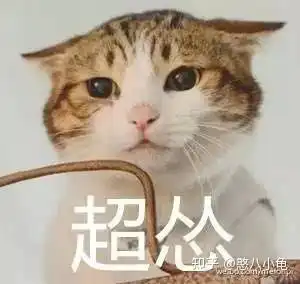  小猫不吃猫粮只吃零食一天了都没有吃猫粮,但是吃零食了,怎样让她吃猫粮啊