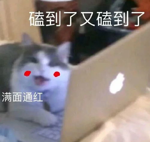 就那么一点点表情包生日
