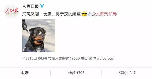 最佳男朋友表情包贴条