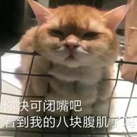  假装八块腹肌表情包微信头像图片大全