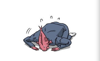 崩溃的表情包被子