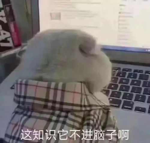  5招解决报了自考,学不进去的烦恼