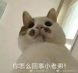 表情包大战弹药补充处