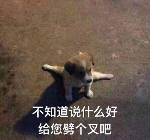 一起赚钱表情包图片大全