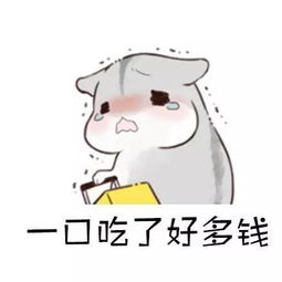 蒸汽海鲜来啦全场5折,还有阿拉斯加蟹波士顿龙虾免费送我已经闻到了大海的味道