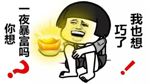  你想一夜致富吗赌博必赢的终极秘籍在这里