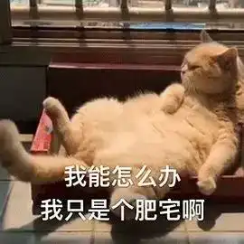  有了它,你的2019会宅的更开心