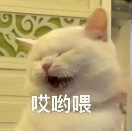  女孩必备的阴阳怪气表情包