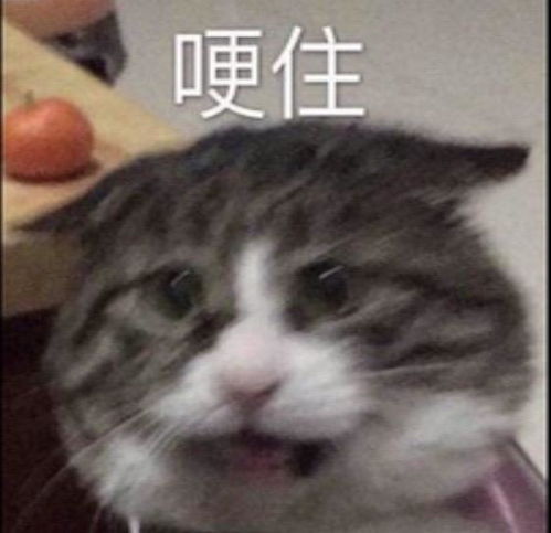  qq亲密度低会自动过滤说说吗