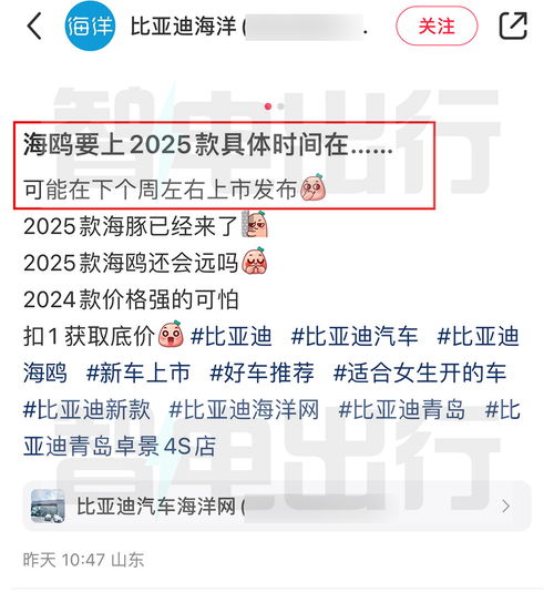  比亚迪销售2025款海鸥下周上市增360.全景影像