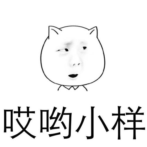  猥琐猫表情系列,猥琐中带点萌