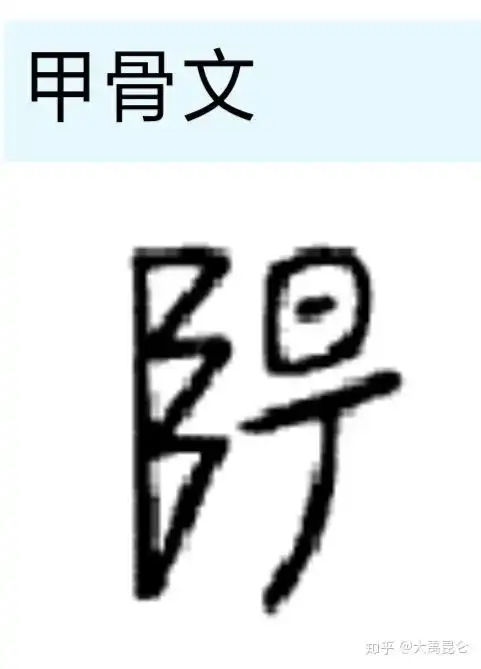  甲骨文阳字解析