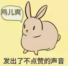  今天最搞笑的10个段子线下约了女网友,没想到....