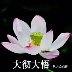 女人用的幸运花头像2024