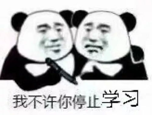 表情包那你看看考研