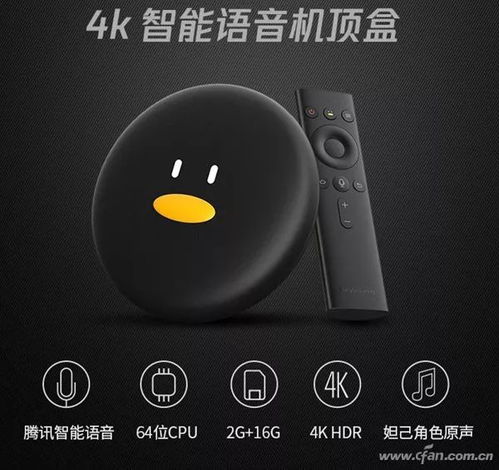  新闻茶泡fan