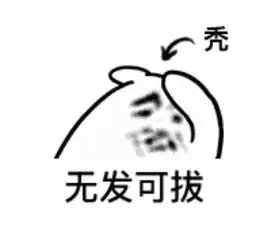  让我们一起了解脱发,做一个健康快乐的i小t吧