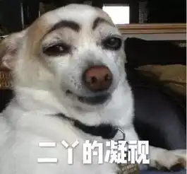  这是一条权力的游戏的表情包合集帖