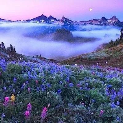  唯美风景微信头像