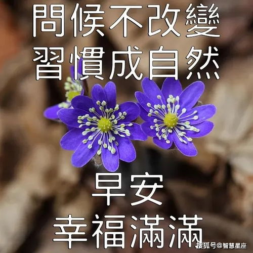  5月26日特别漂亮的早上好表情图片带鲜花发朋友圈最好看早上好祝福动态图片