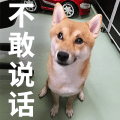  柴犬齐天第四弹表情包