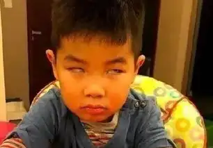  哈尔滨地铁将可扫码乘车电子社..小胡的主页