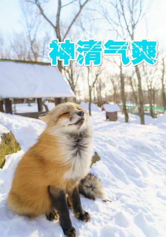  小个子入冬别怕这些大衣,让你冬天保暖又有型
