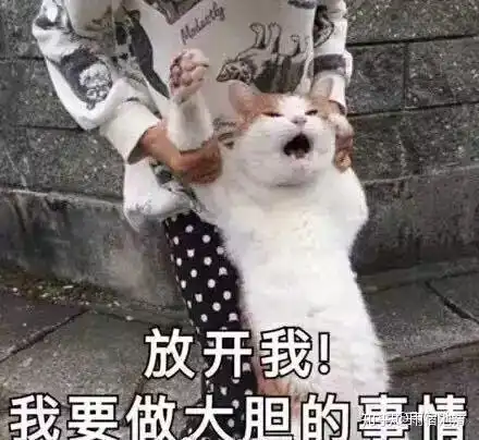  阴阳师有哪些黑话需要萌新了解