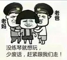  有没有一些有趣的小提琴表情包