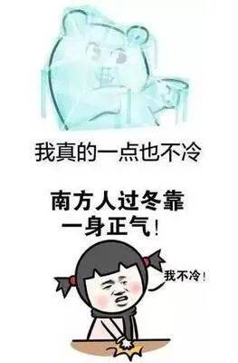  低温来袭一组表情包告诉你他们抗击冰冻雨雪天气的底气