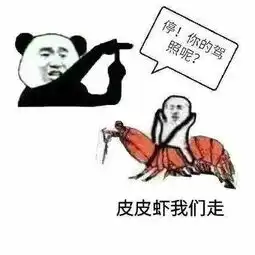  皮皮虾我们走被网友玩坏到底是个什么梗