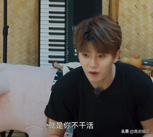  任嘉伦上向往变身怼王,句句扎心谭松韵,气得她成表情包