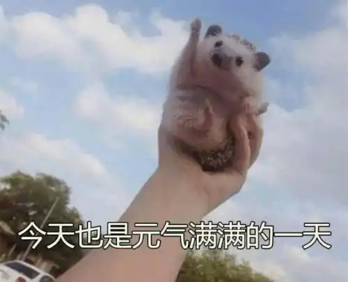  马院生活丨你的冬日起床攻略待查收