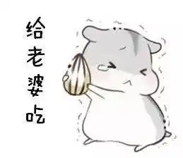  仓鼠表情包,老公老婆都有哦