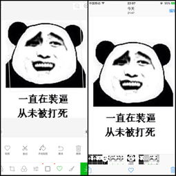  教你如何制作表情包,让你斗图致胜