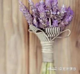  送给正在经历坎坷的你我,四句漂亮的话,透彻