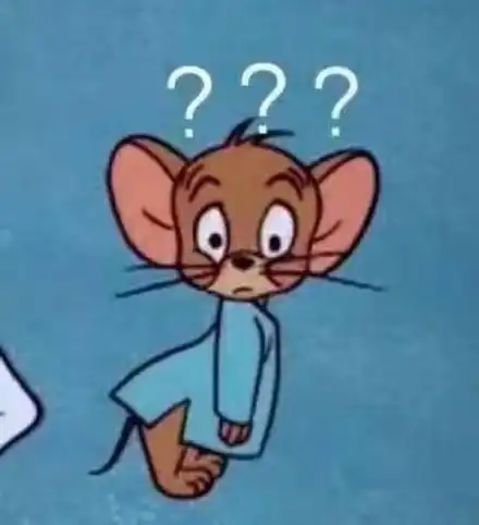  脉络磁炙是什么